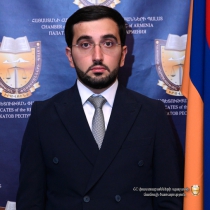 Նարեկ Վահագնի Հարությունյան